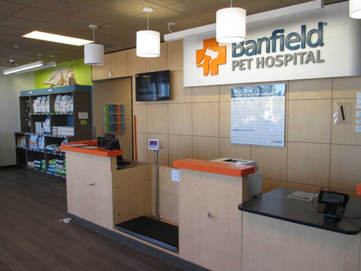 The Banfield - Flower Mound TC front desk and check-in area