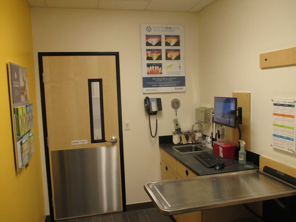 The Flower Mound TC Banfield exam room and table