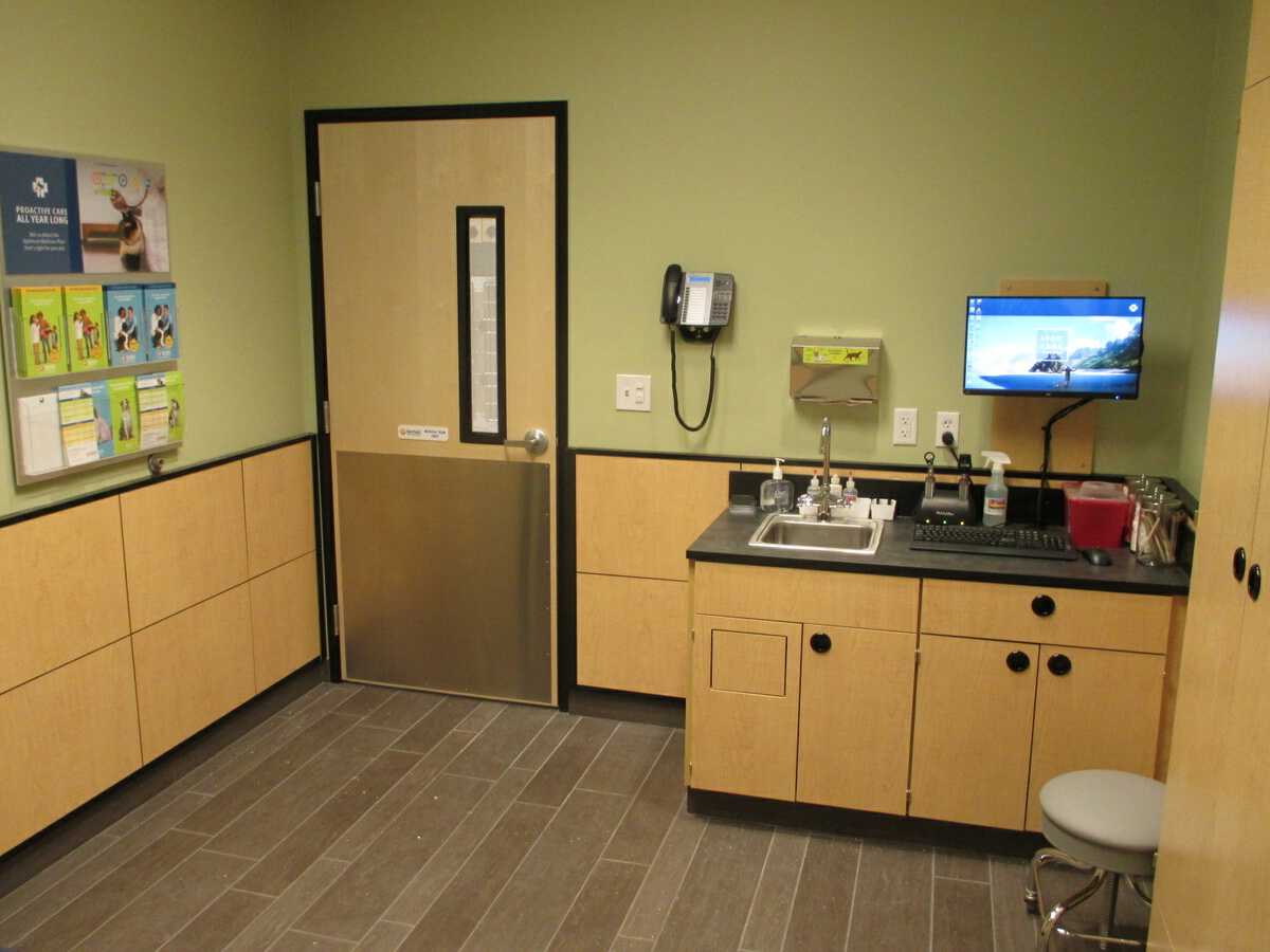 An alternate view of the Flower Mound TC Banfield exam room