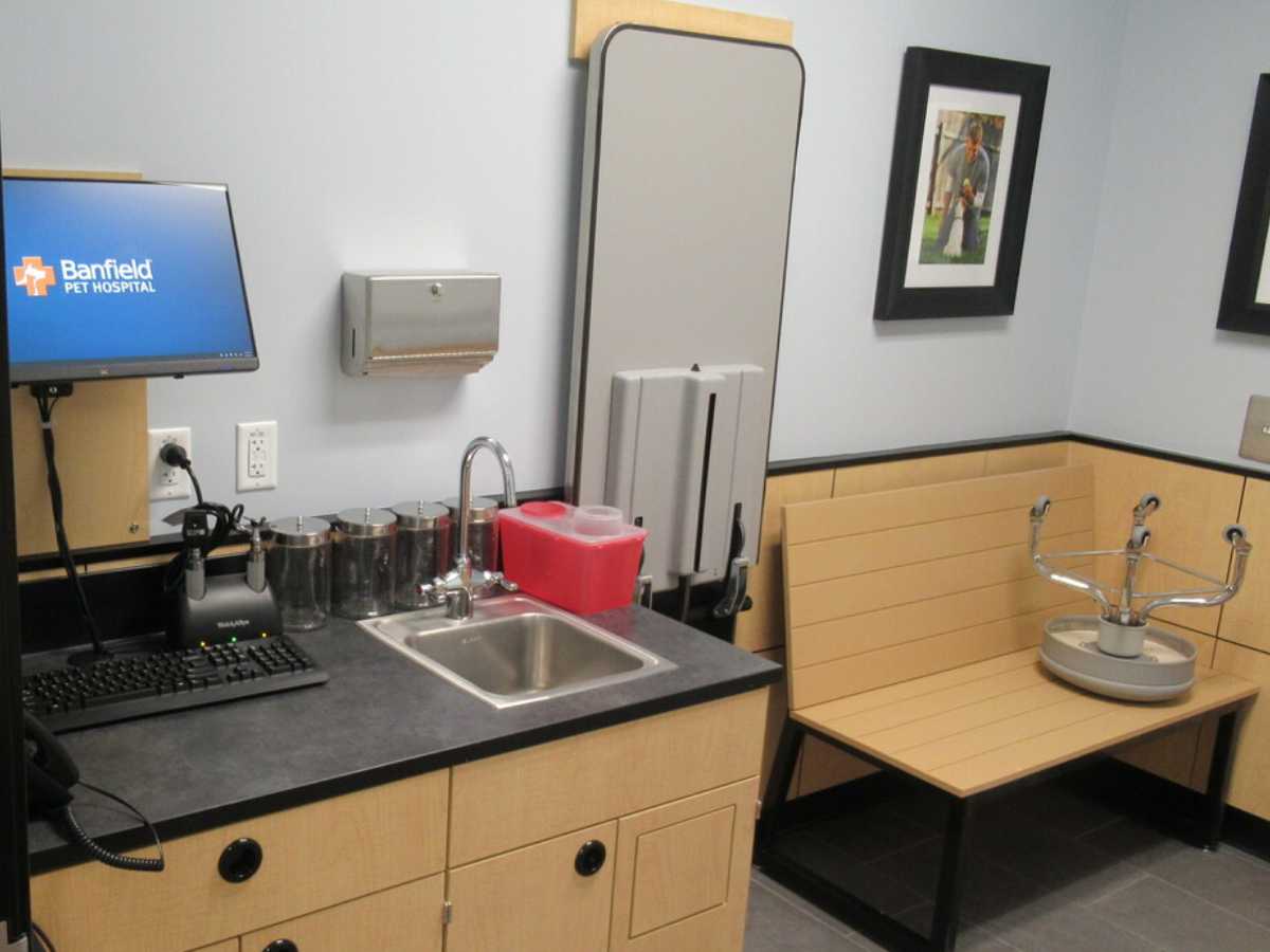 The Dallas Forest Banfield exam room and folding table