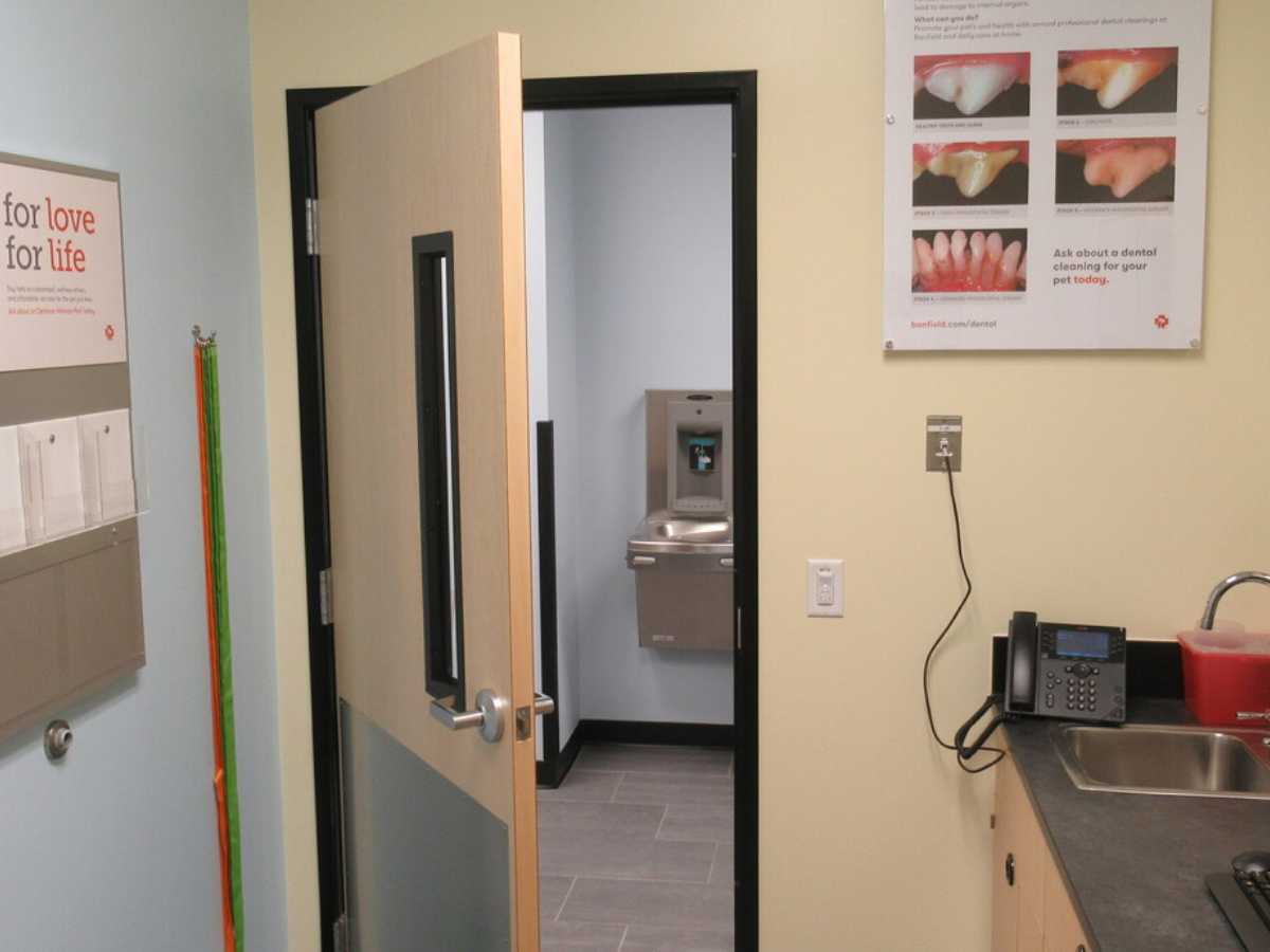 A view of the Banfield - Dallas Forest exam room
