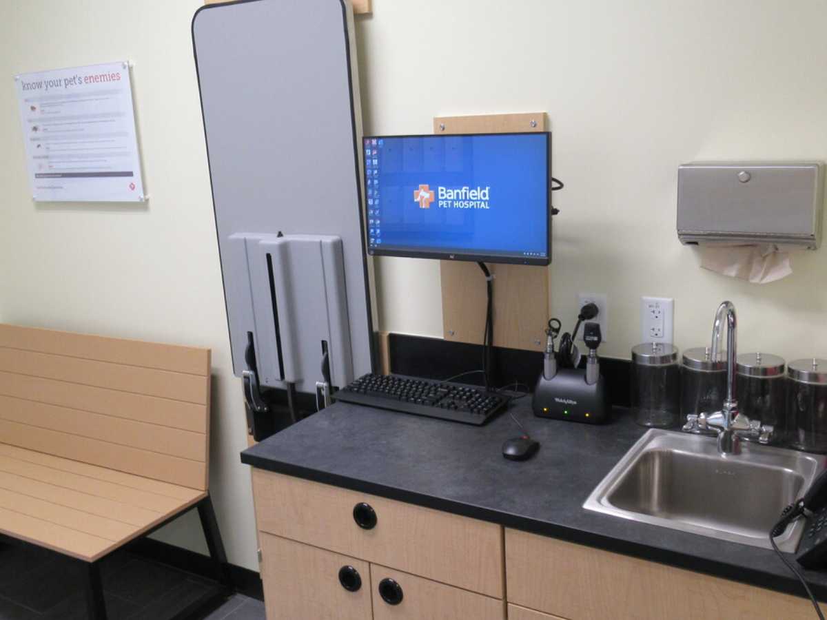 An inside view of the Dallas Forest Banfield exam room