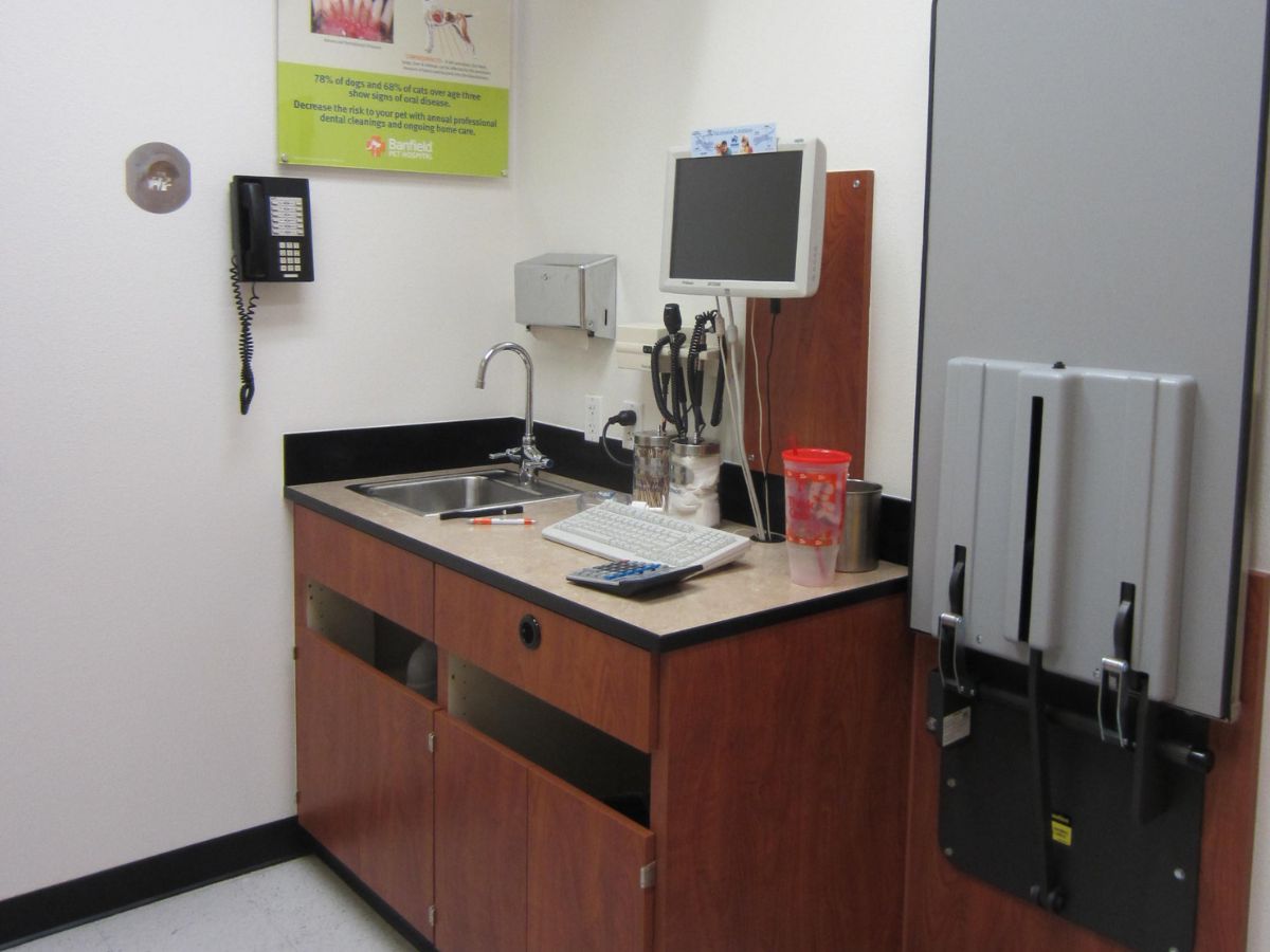 The Banfield - McKinney exam room and table