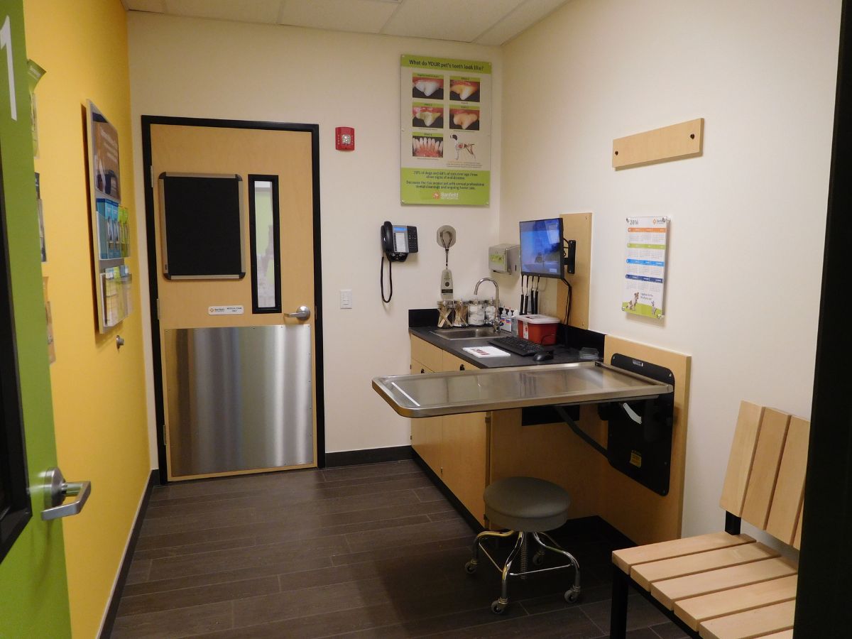 The Carrollton Banfield exam room and table