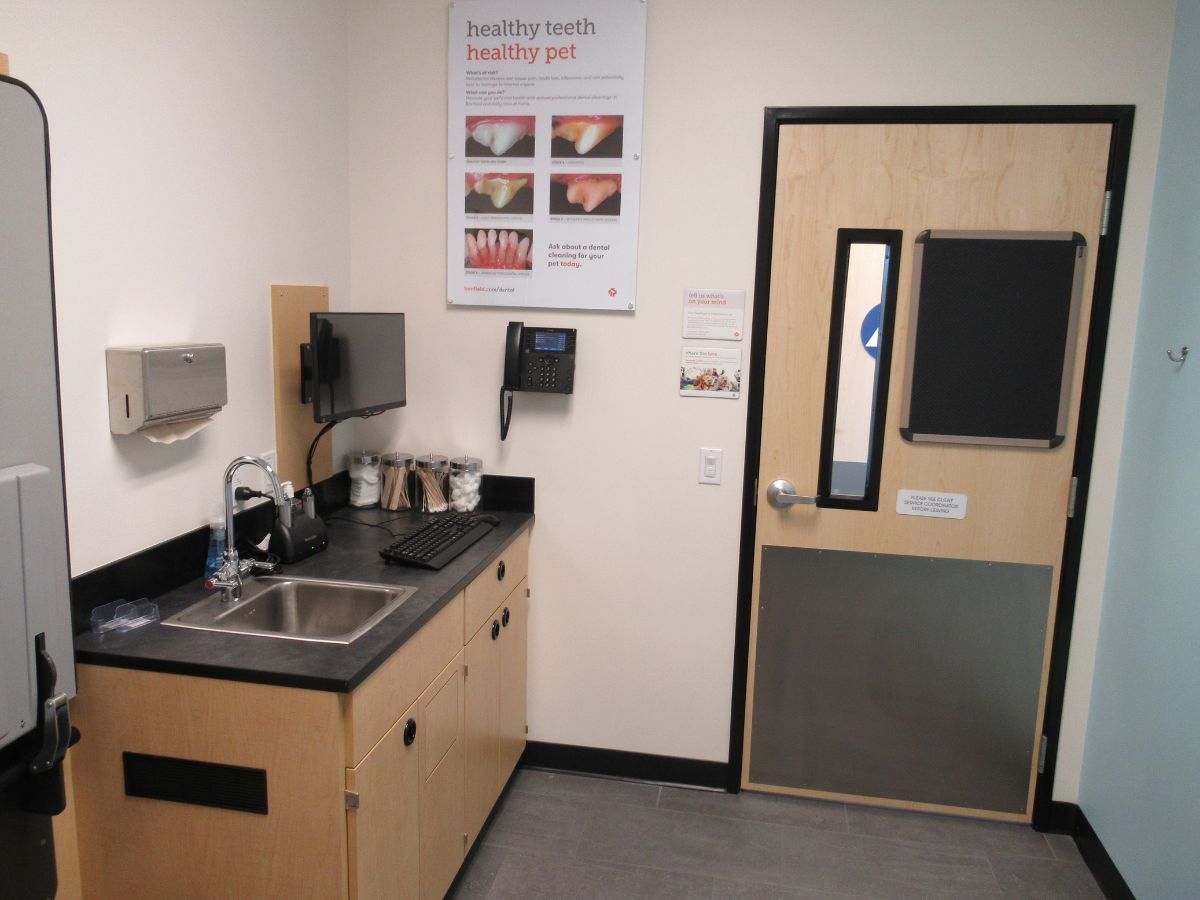 The Little Elm Banfield exam room and folding table