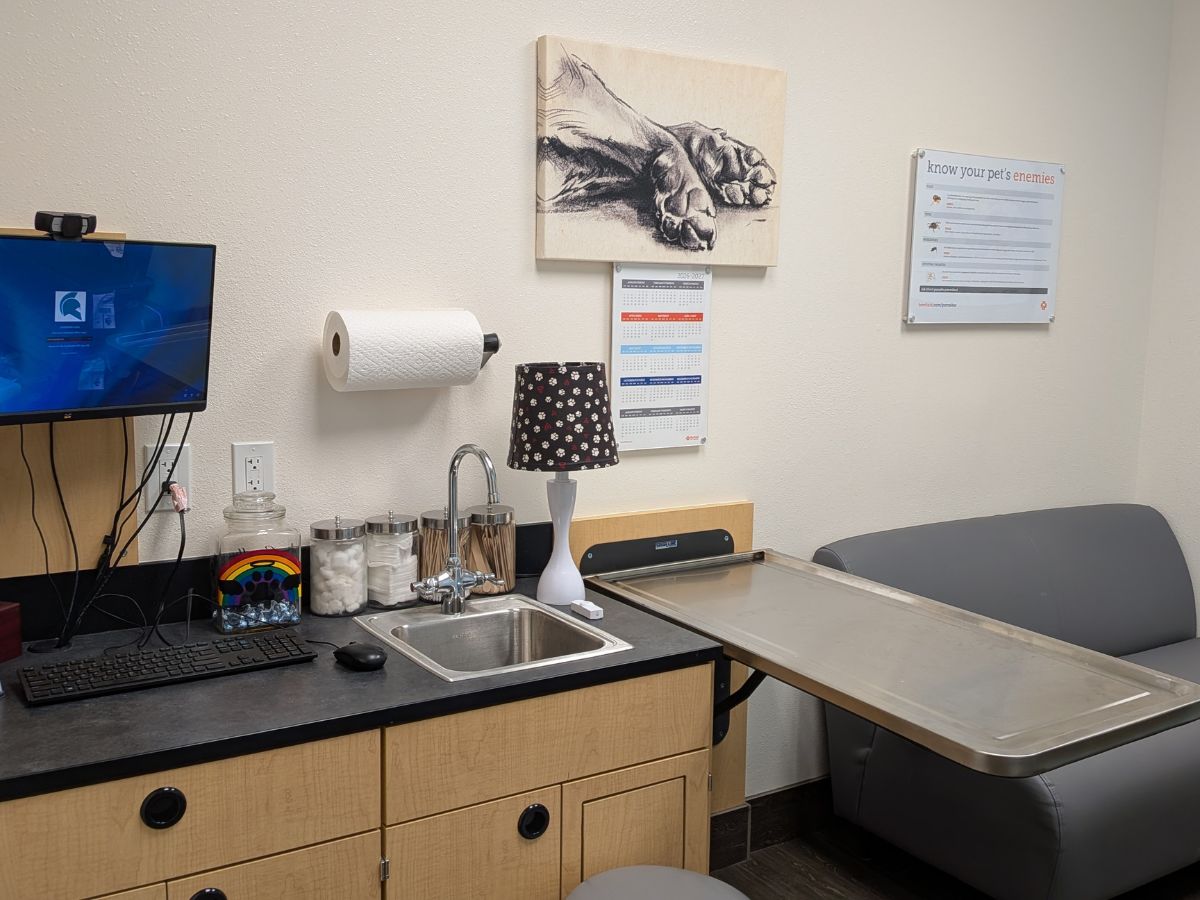 A view of the exam room at Banfield - Concord