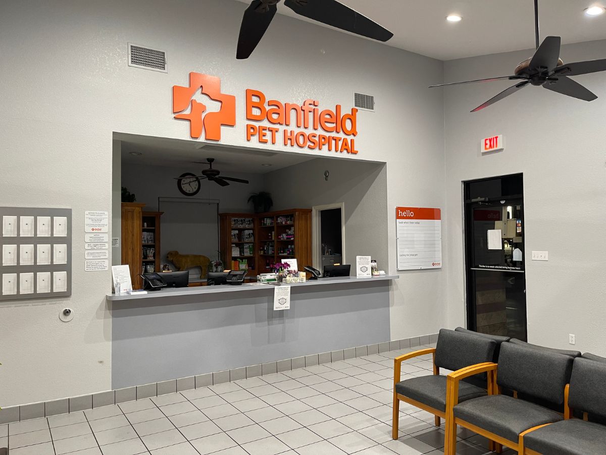 The Banfield - Alsbury front desk and lobby