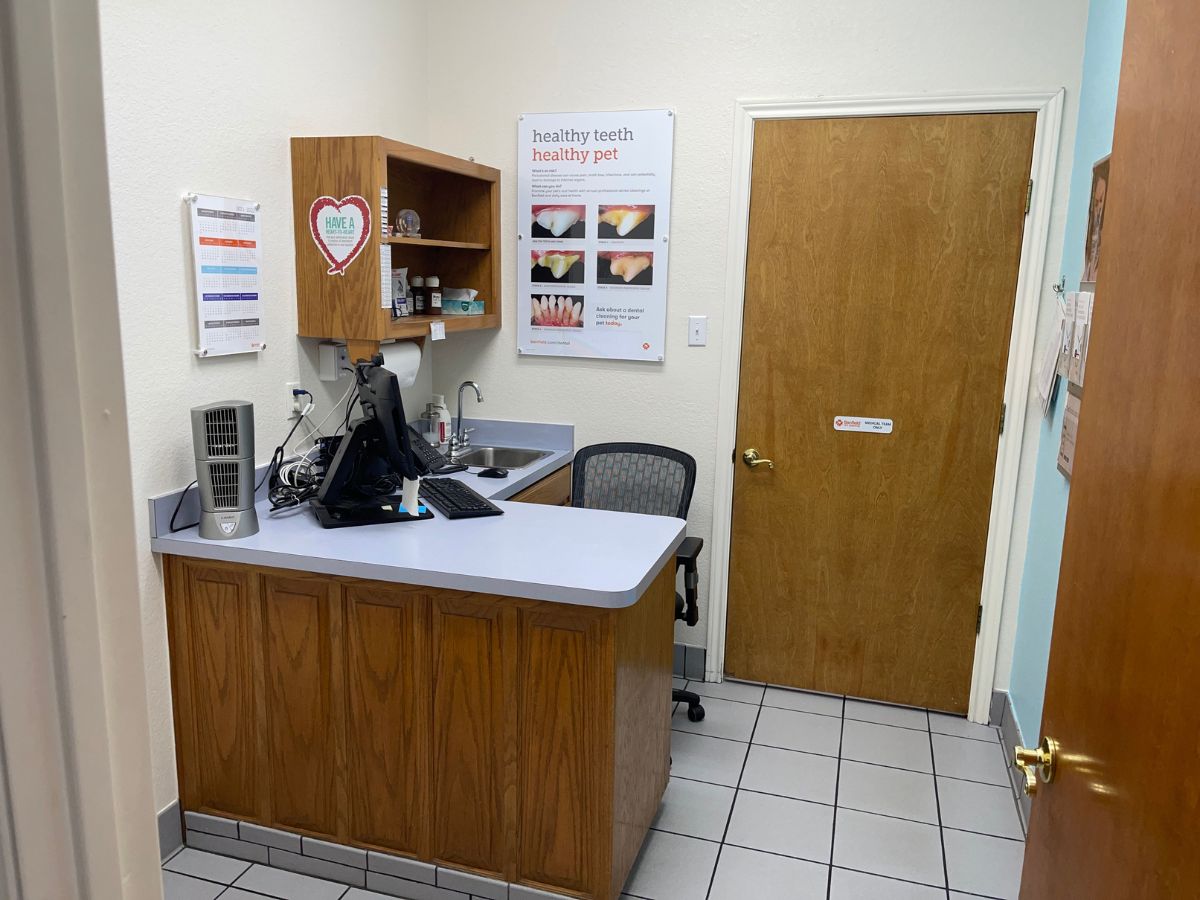 The Banfield Pet Hospital: Alsbury exam room with table