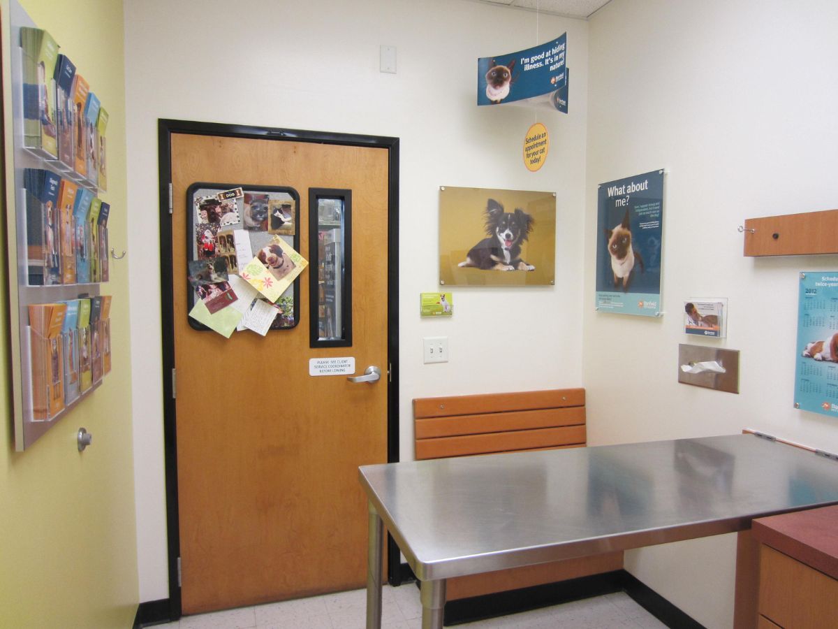 The Banfield Pet Hospital: Burleson exam room with table