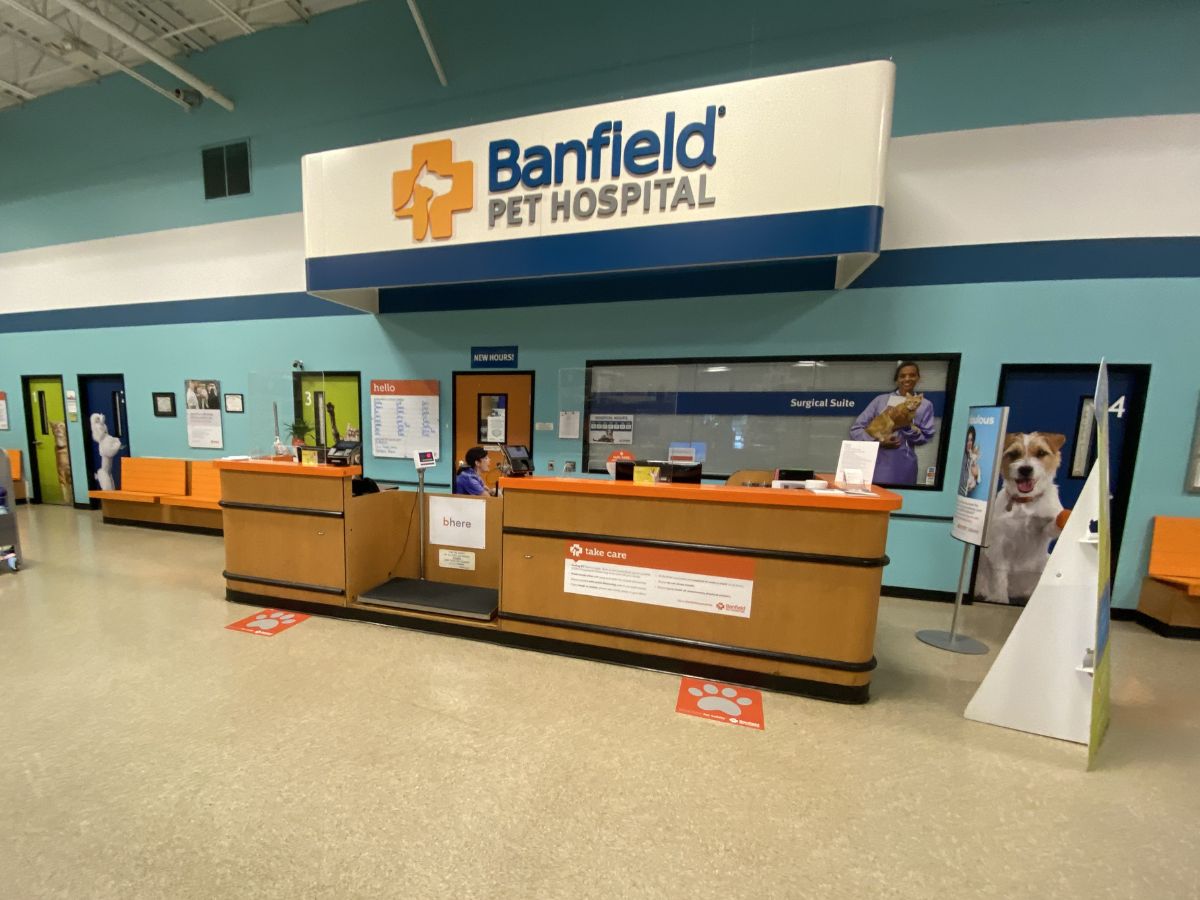 The Banfield - Lake Worth front desk area