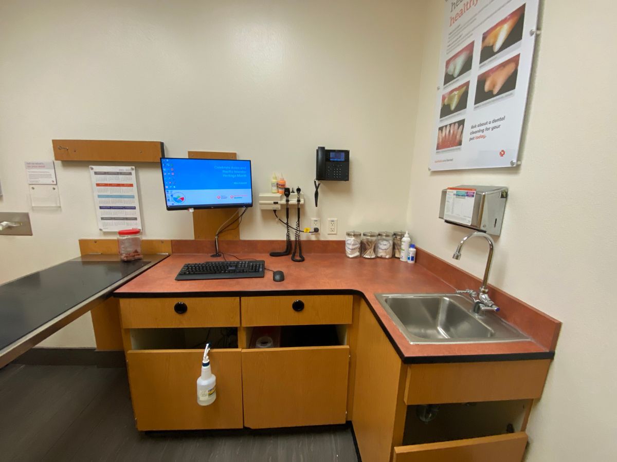 A view of the Lake Worth Banfield exam room and table
