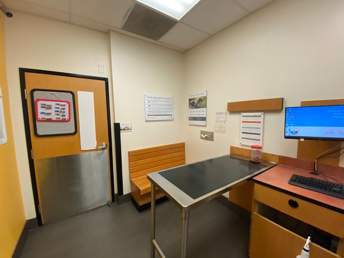 An alternate view of the Banfield - Lake Worth exam table