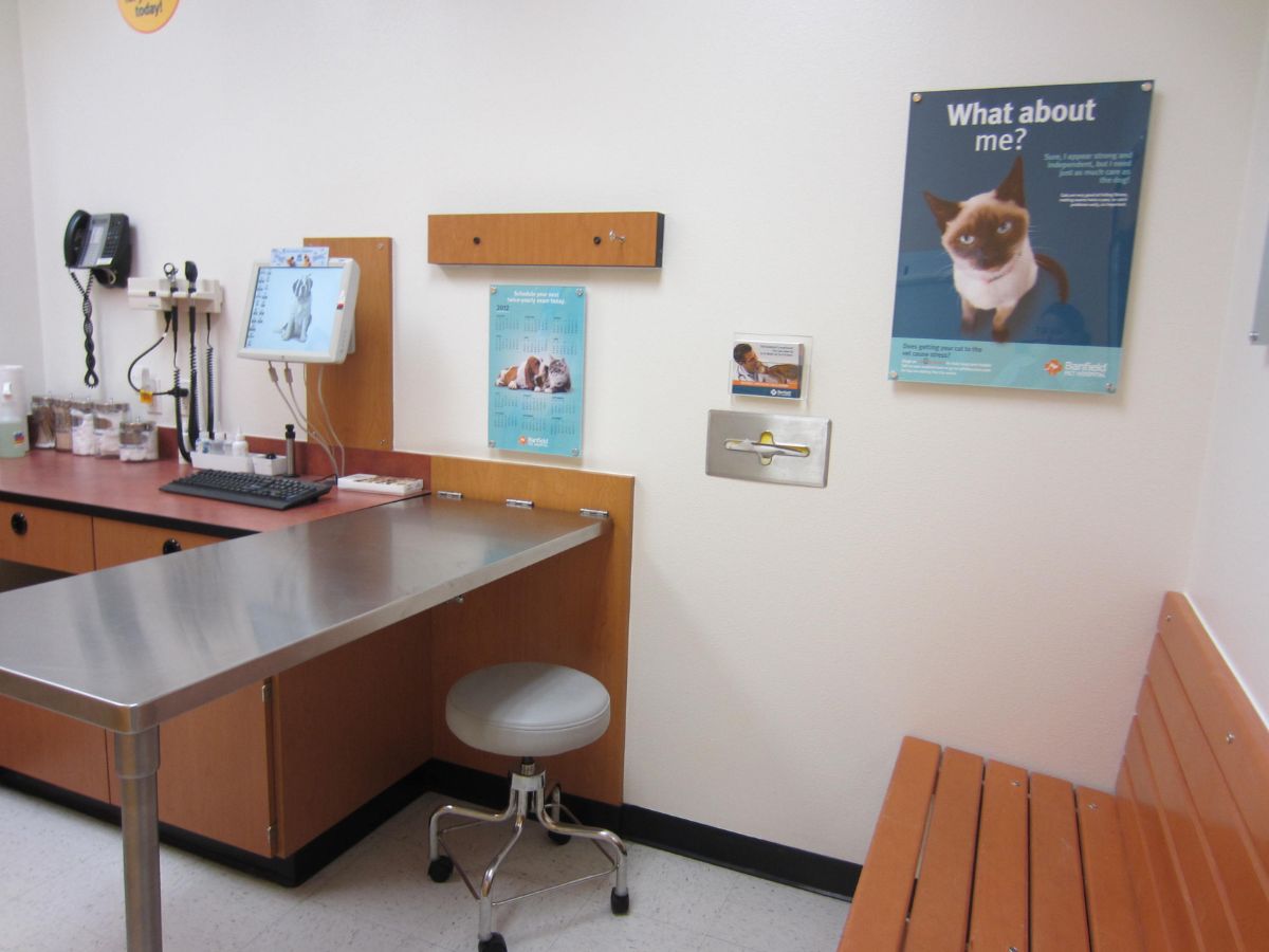 The Banfield - South Arlington Banfield exam table