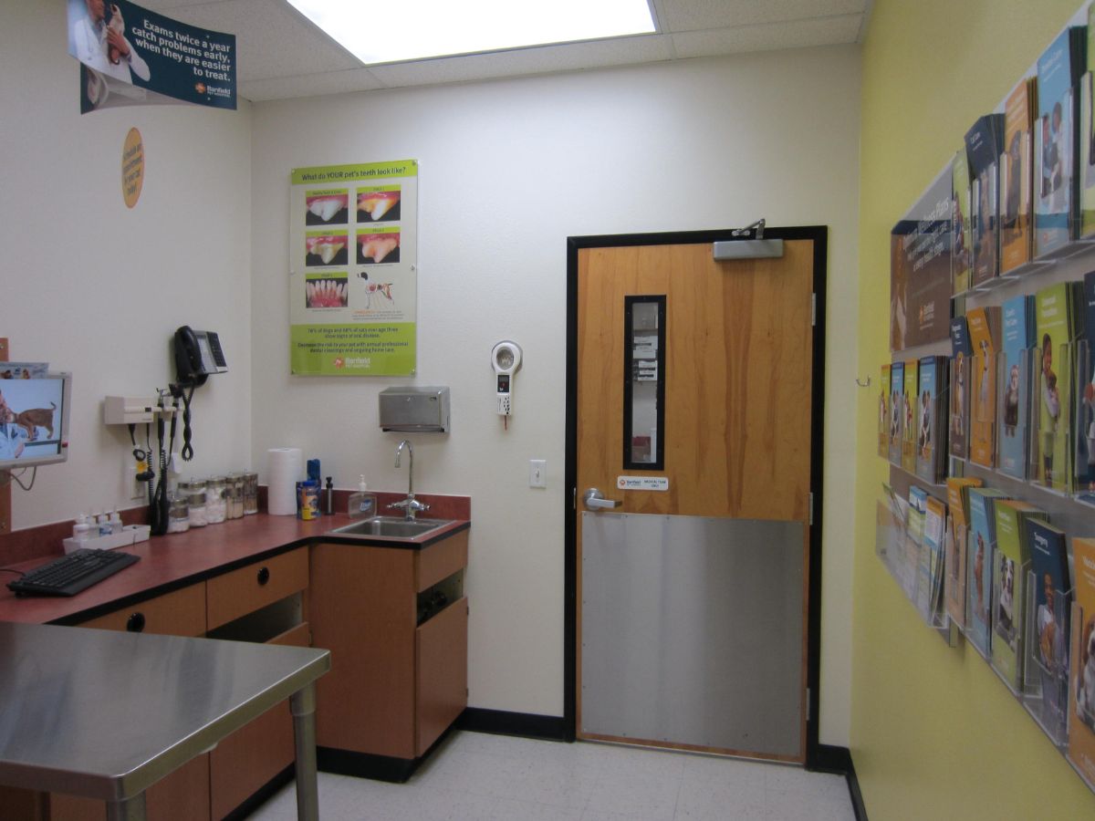 An alternate view of the South Arlington Banfield exam table