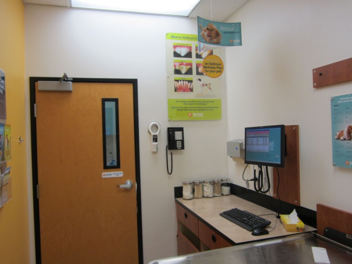 A view of the Hurst Banfield exam room and folding table