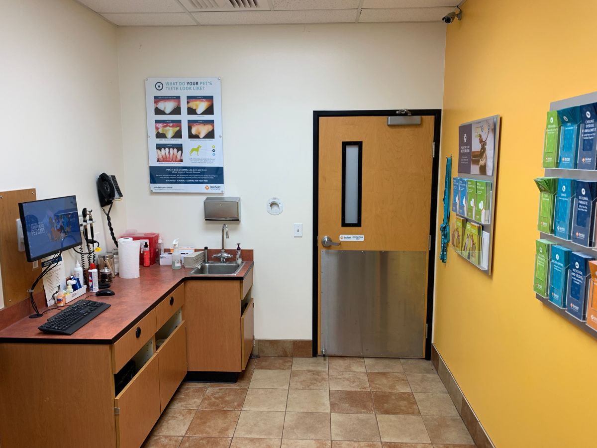 A view of the Temple Banfield hospital exam room