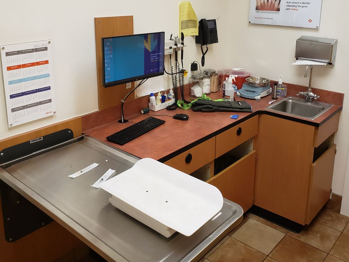 An alternate view of the Banfield - Temple hospital exam room