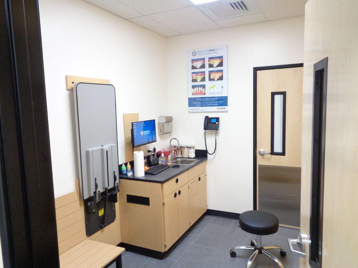 A view of the Mansfield Banfield hospital exam room
