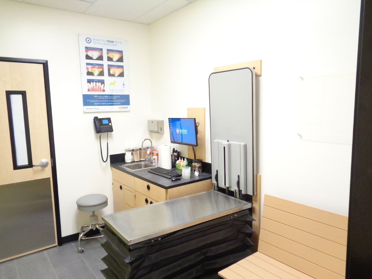 An alternate view of the Mansfield Banfield exam room and table