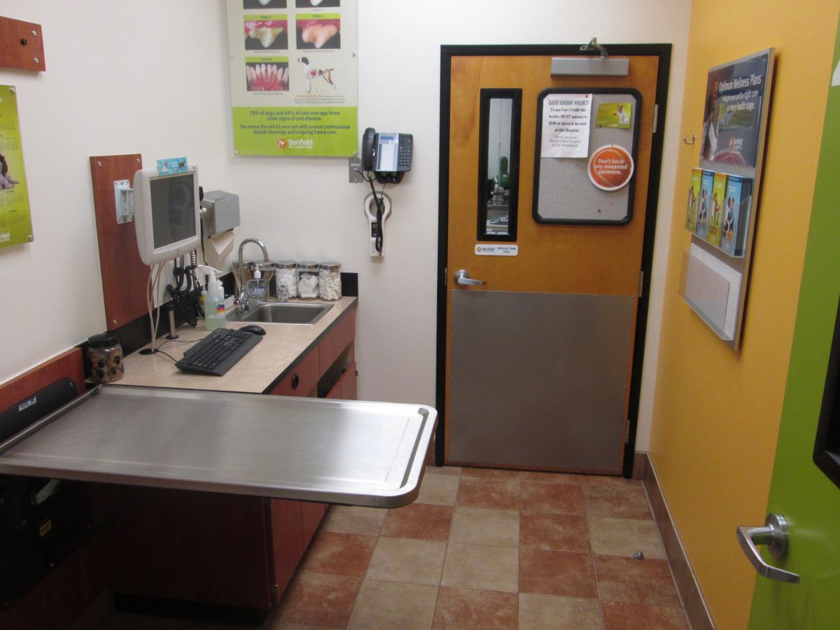 The Woodlands Banfield exam room and folding table