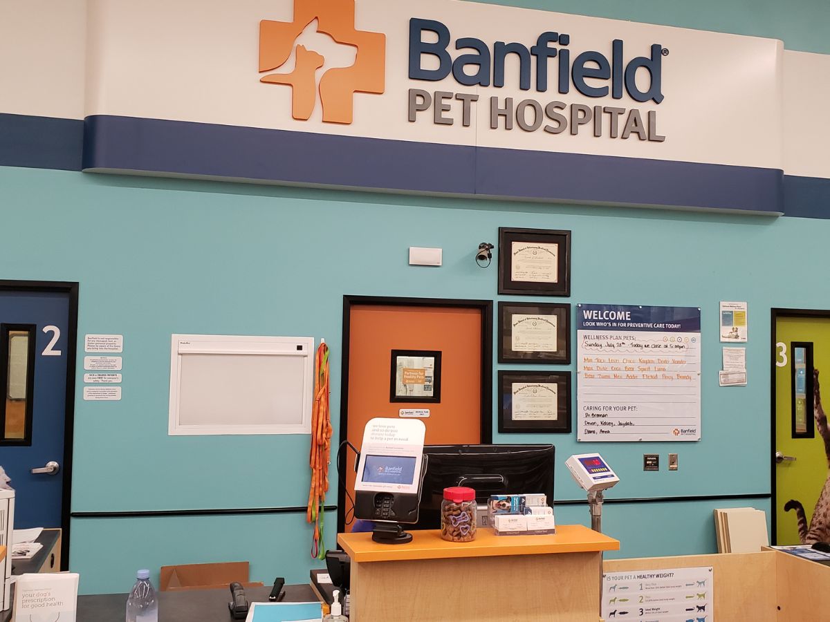 The Copperfield Banfield hospital front desk and check-in area