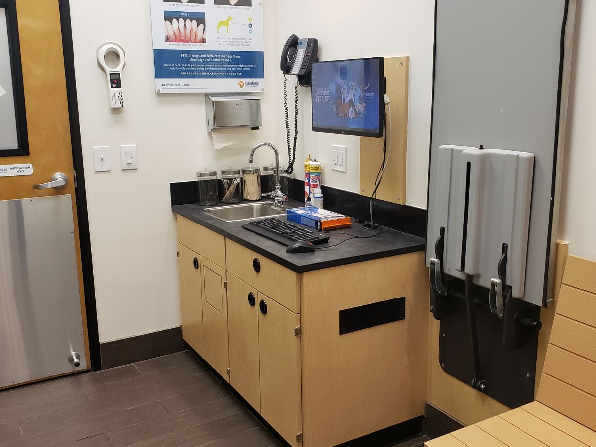 The Copperfield Banfield exam room and folding table