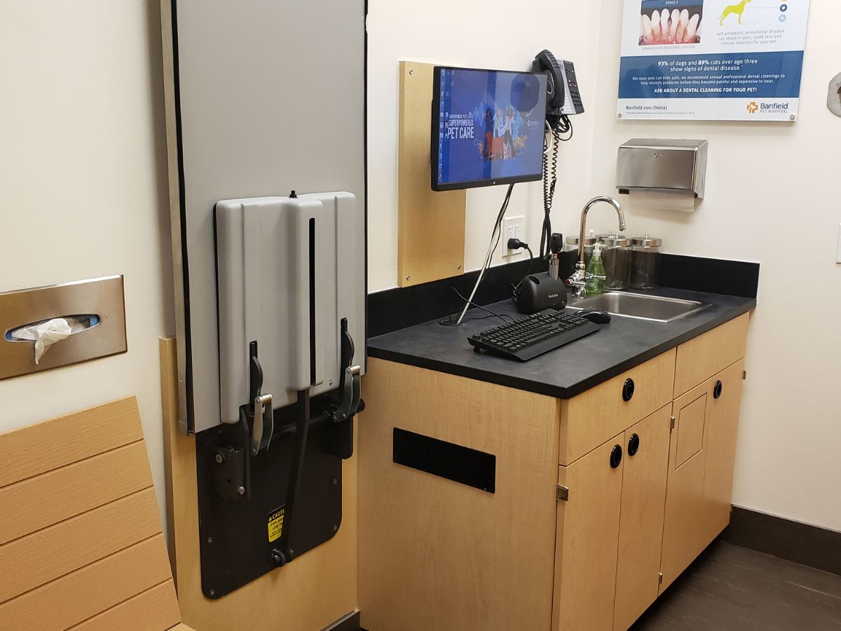 Another view of the Banfield - Copperfield exam table