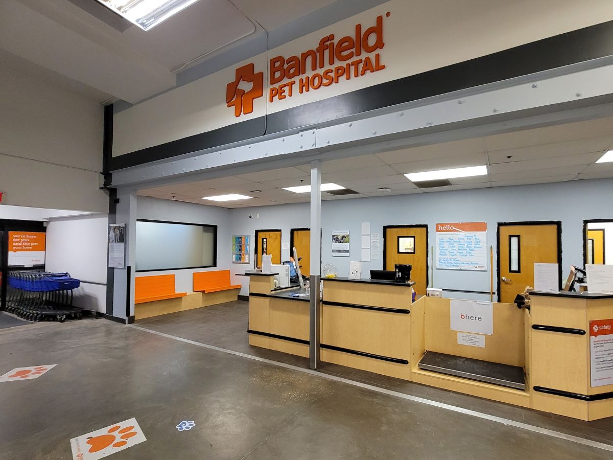 The front desk at the Banfield - Houston Inner Loop hospital front desk