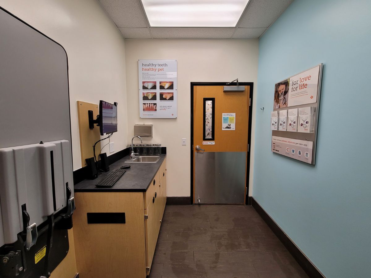 A view of the Banfield - Houston Inner Loop exam room and folding table