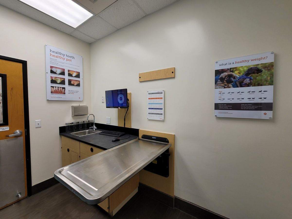 An alternate view of the Houston Inner Loop Banfield exam room