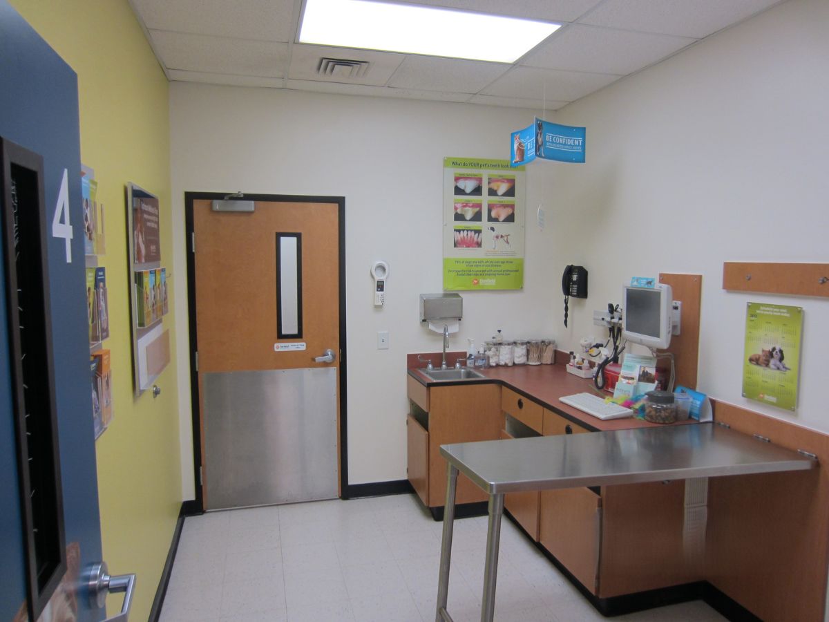 A view of the Humble Banfield exam room and exam table