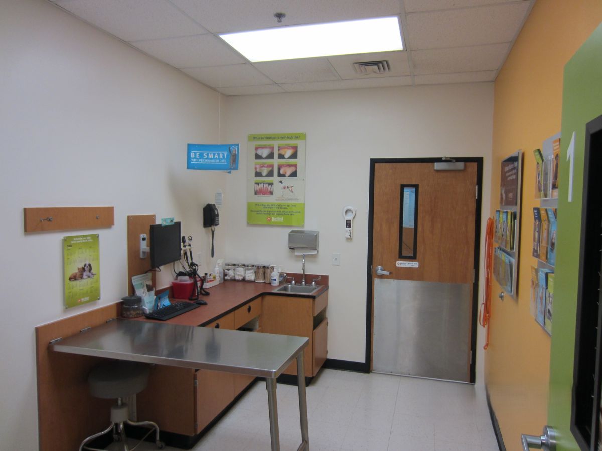 An alternate view of the Banfield - Humble hospital exam room and table