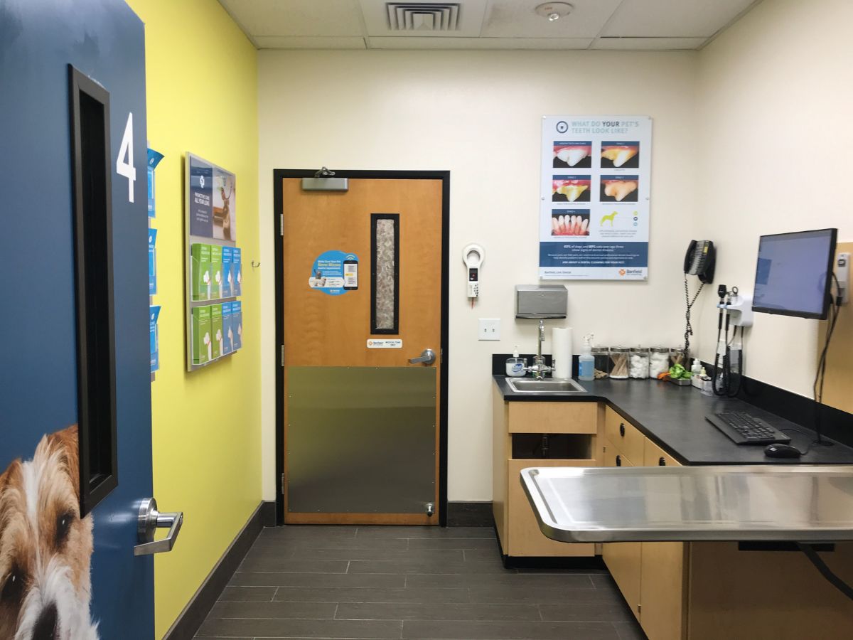 A view of the Willowbrook Banfield exam room and exam table