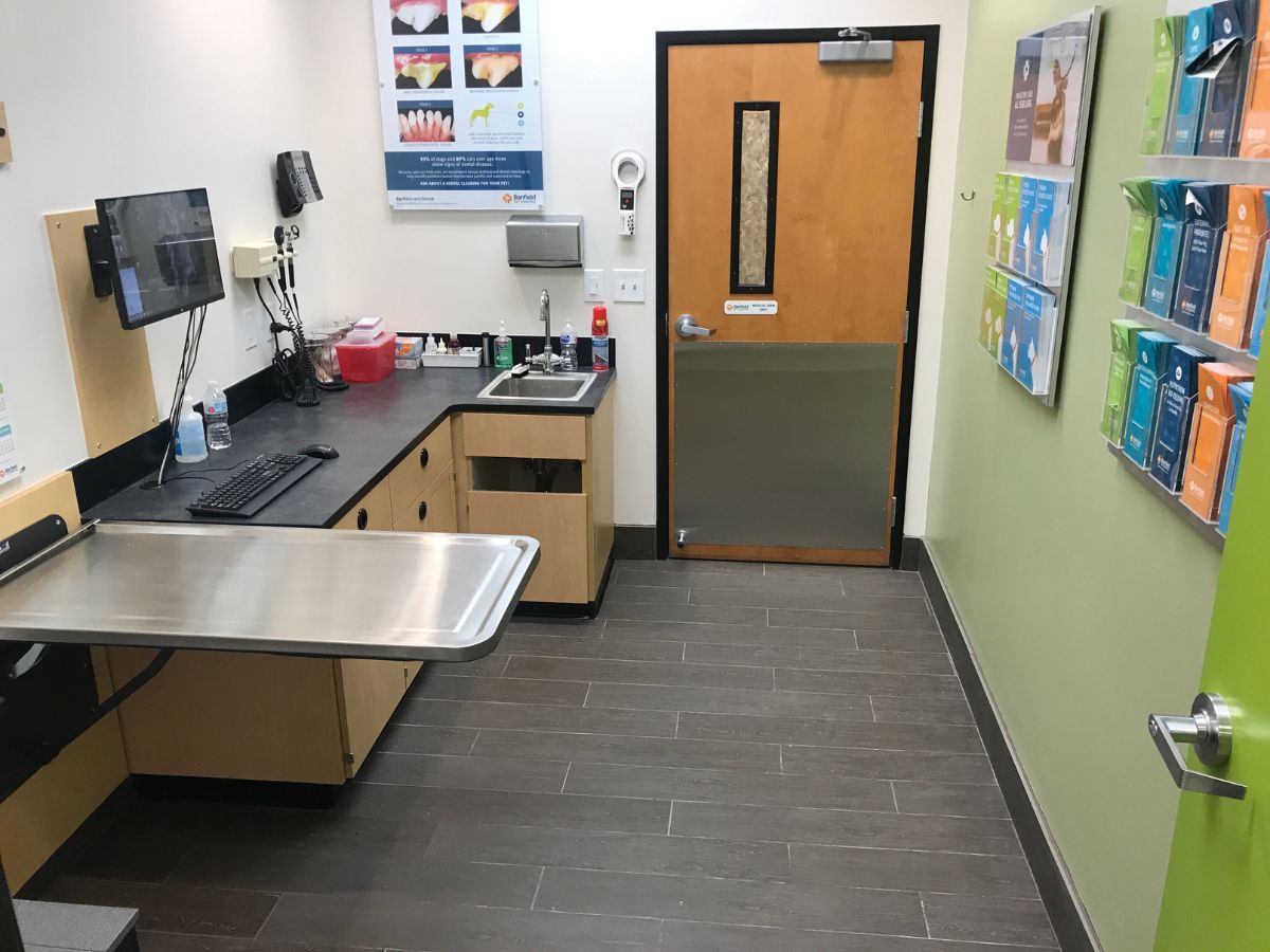 Another view of the Banfield Willowbrook exam room and folding table