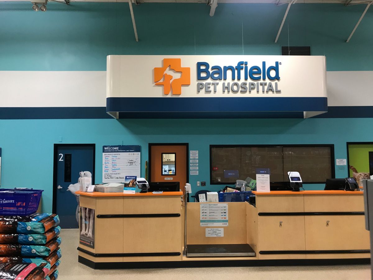 The Cypress Banfield front desk and check-in area