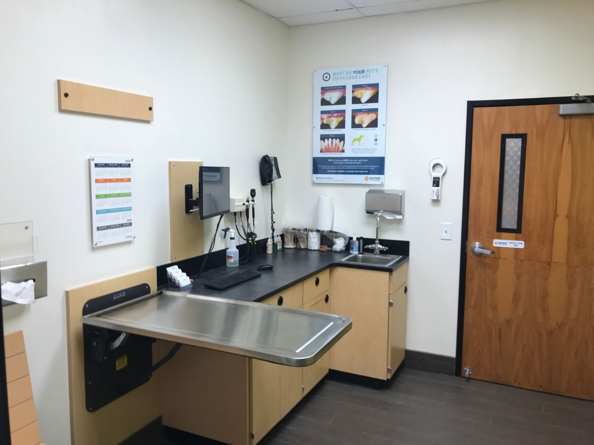 A view of the Cypress Banfield exam room and folding table
