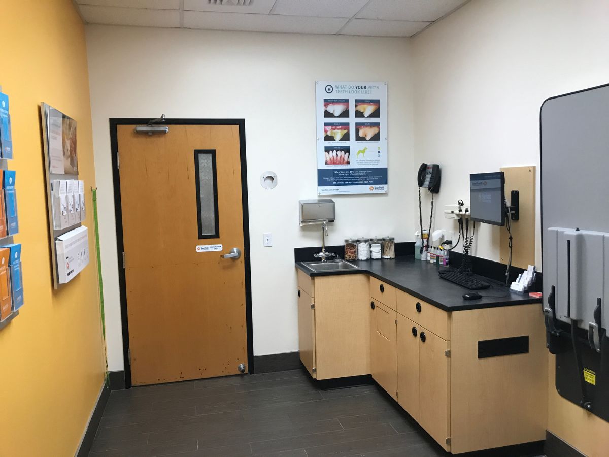 An alternate view of the Banfield - Cypress exam room and exam table