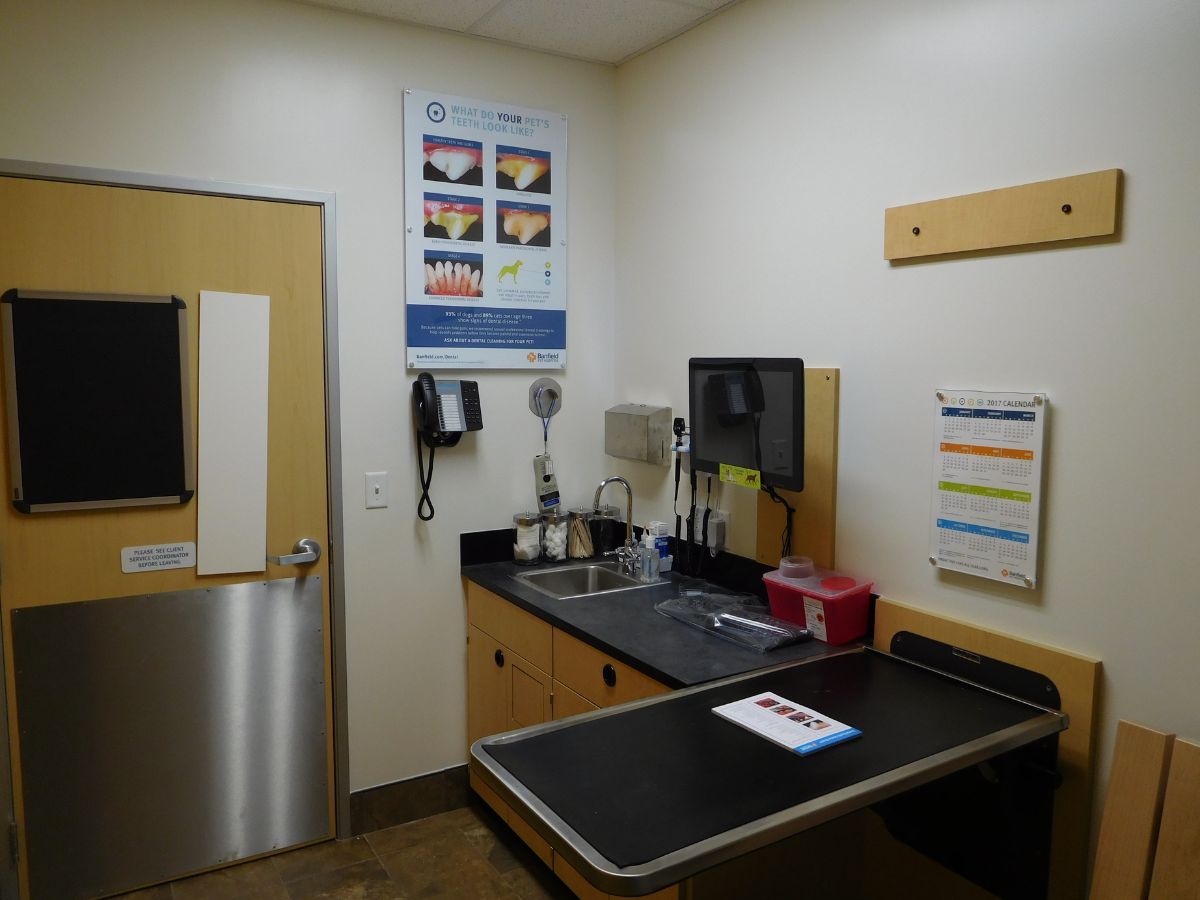 A view of the Banfield - Spring exam room and exam table