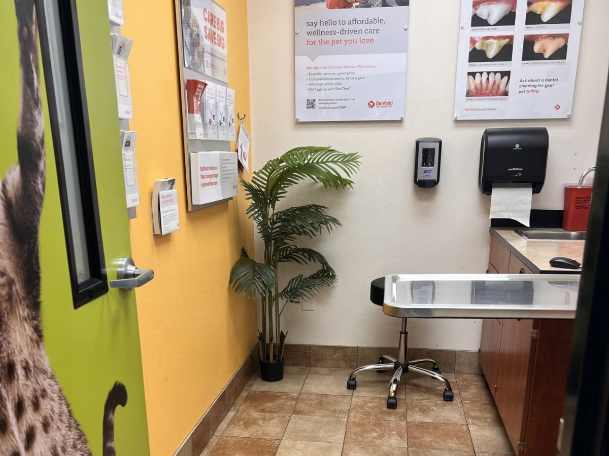 An exam room at Banfield Pet Hospital - Corona