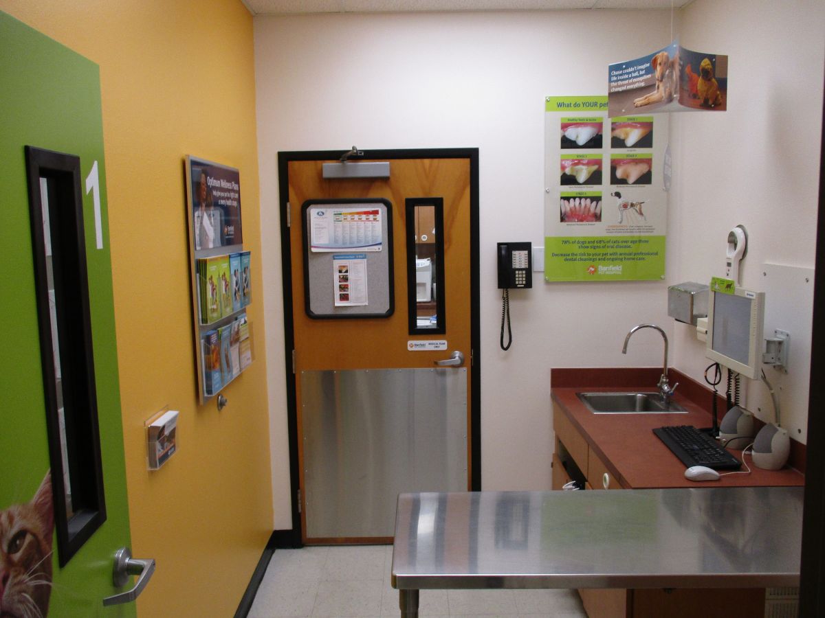 The Banfield - Baton Rouge South exam room with table