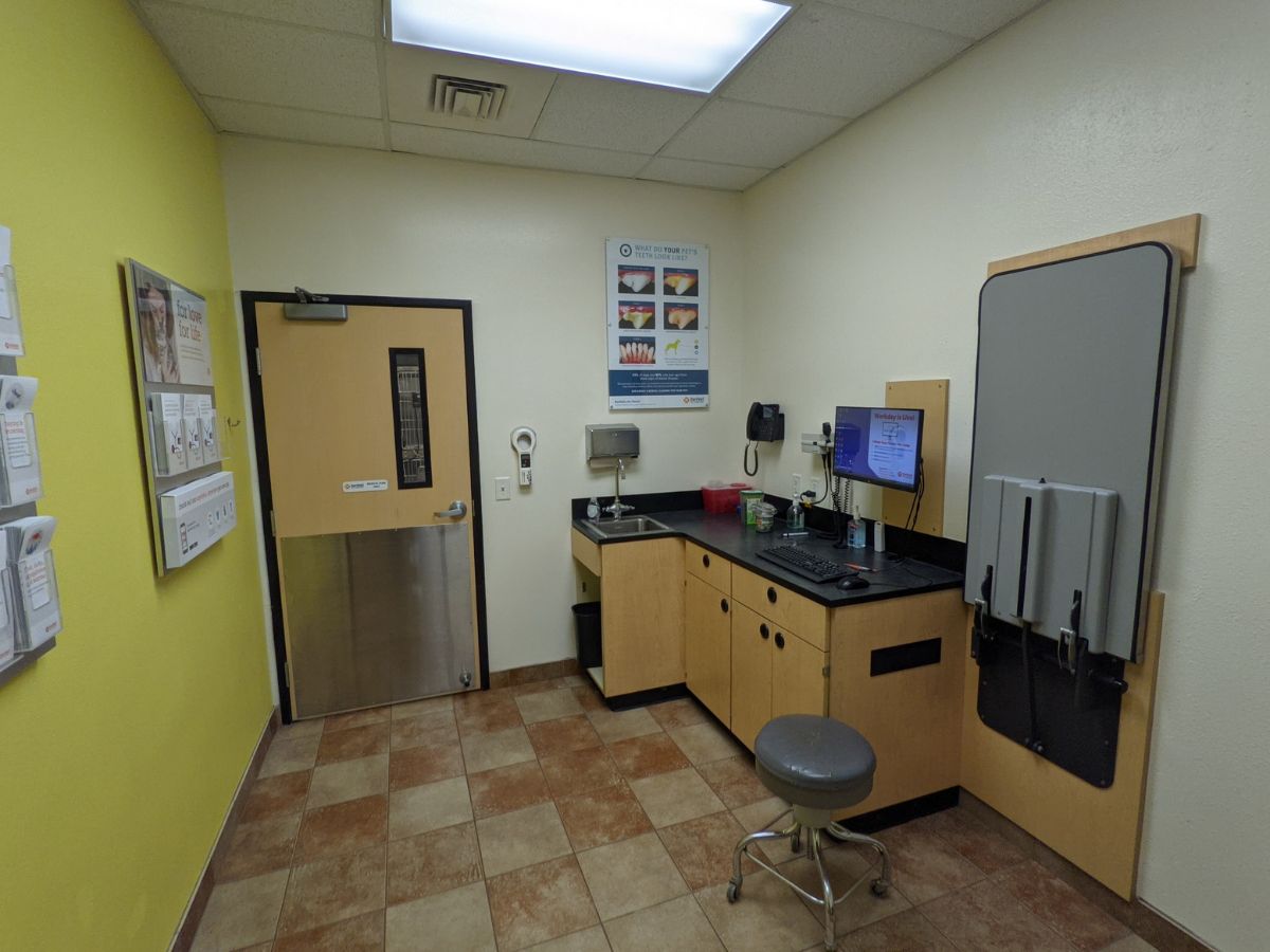 The Banfield - East Baton Rouge exam room with table