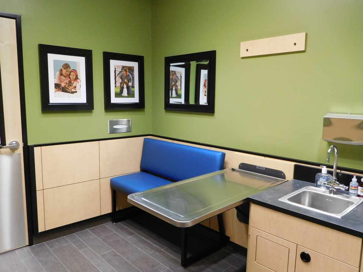A view inside the Banfield - San Jose Brokaw exam room and table