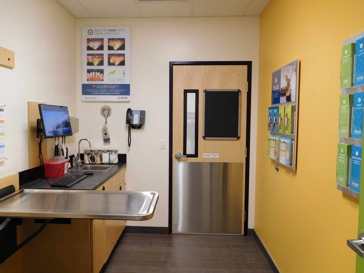 An alternate view of the San Jose Brokaw Banfield exam room and table