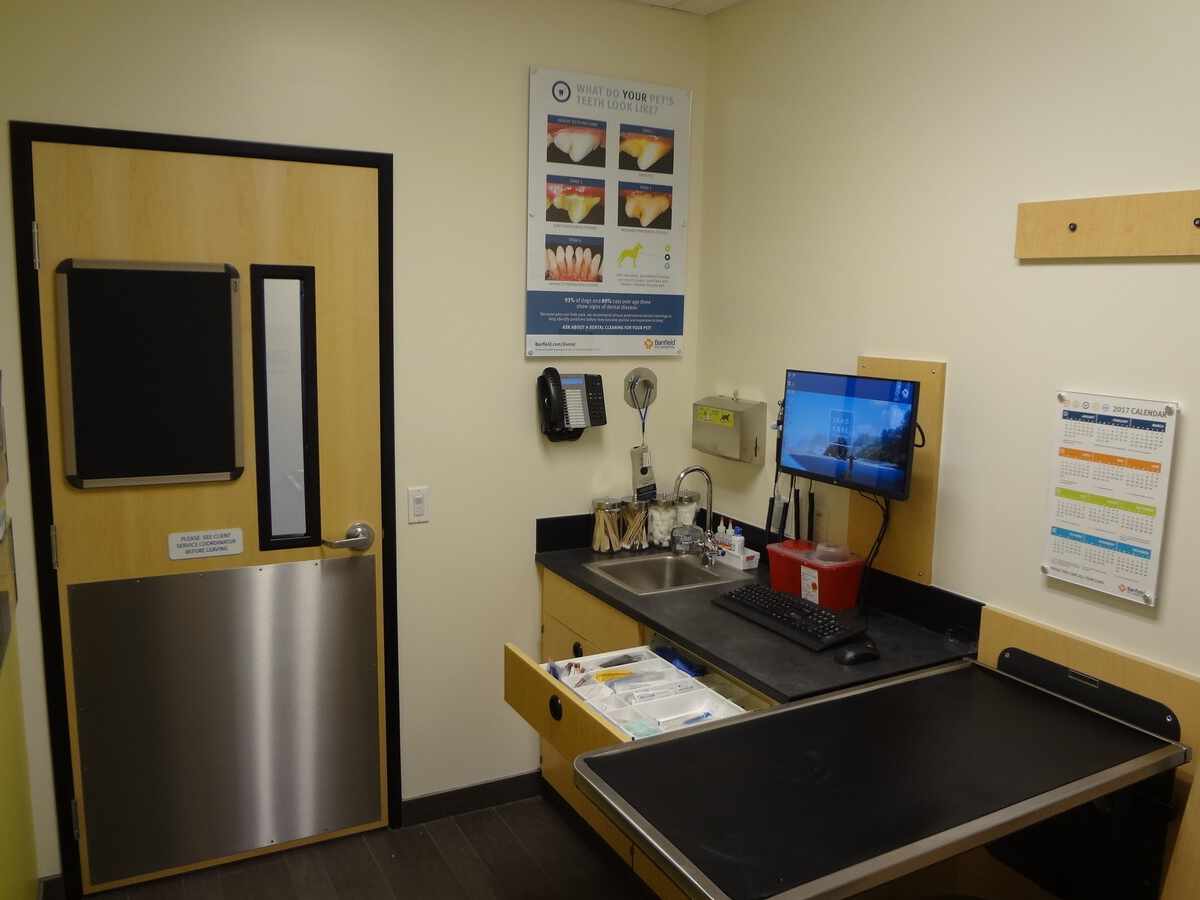 A view of the Antioch West Banfield exam room
