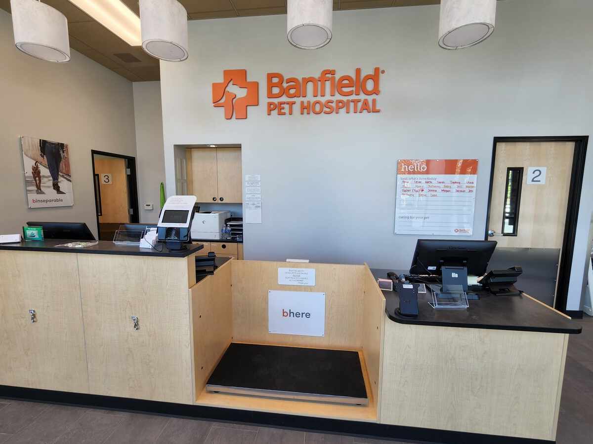 A view of the Banfield - Santa Rosa front desk and check-in area