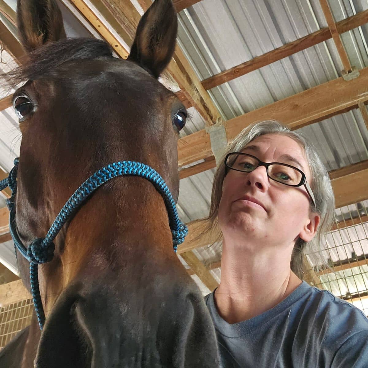 Profile picture of Elizabeth Ring, DVM, Veterinarian