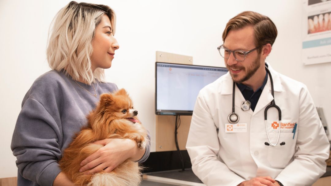 A Banfield veterinarian talking to a dog owner and her Pomeranian