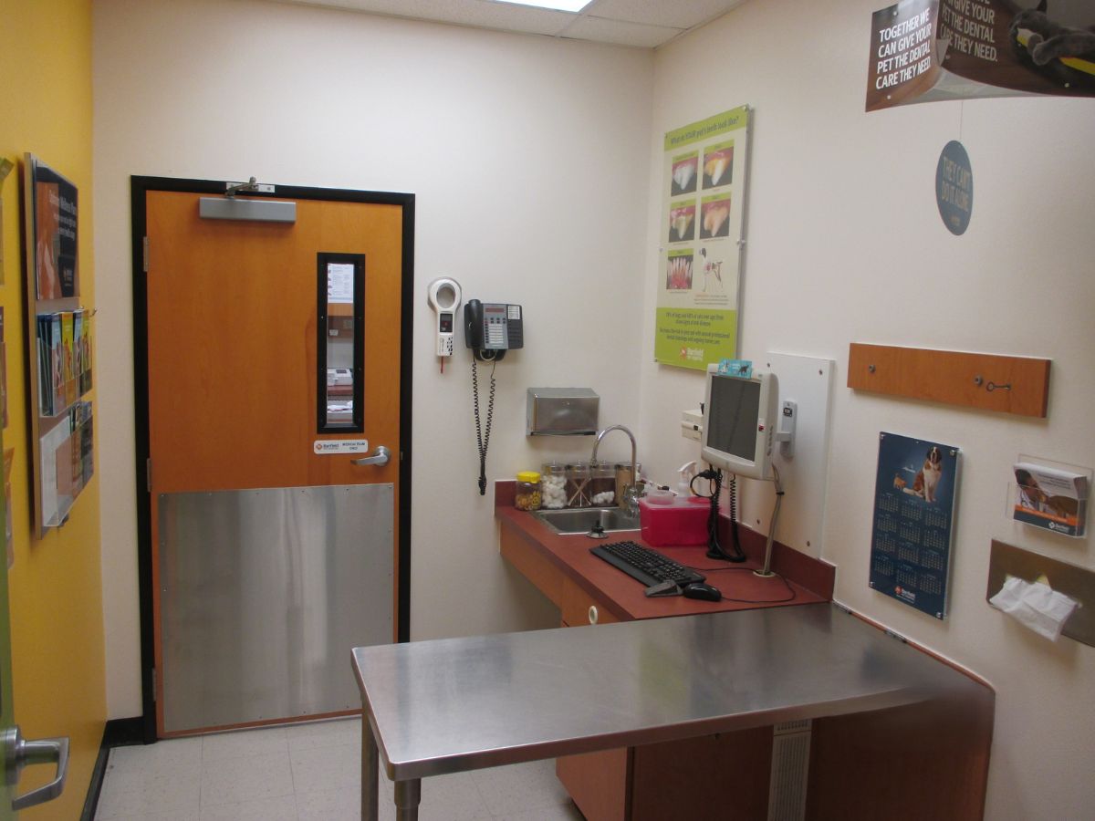 A view inside the Westbank Banfield exam room and table