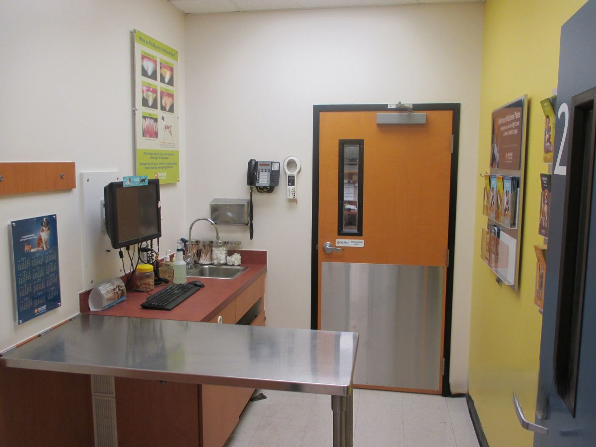 Another view inside the Westbank Banfield exam room