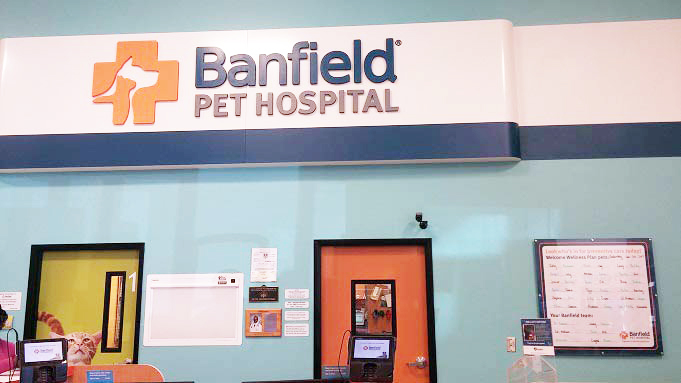 The Banfield - Westbank lobby and exam room doors